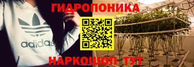 дурь Заводоуковск