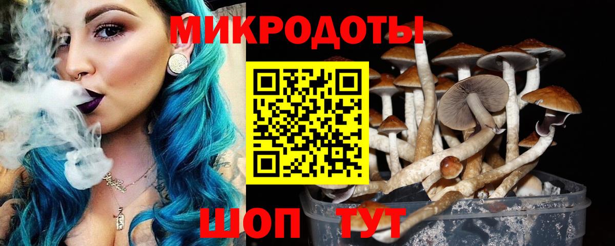 Псилоцибиновые грибы ЛСД Донской
