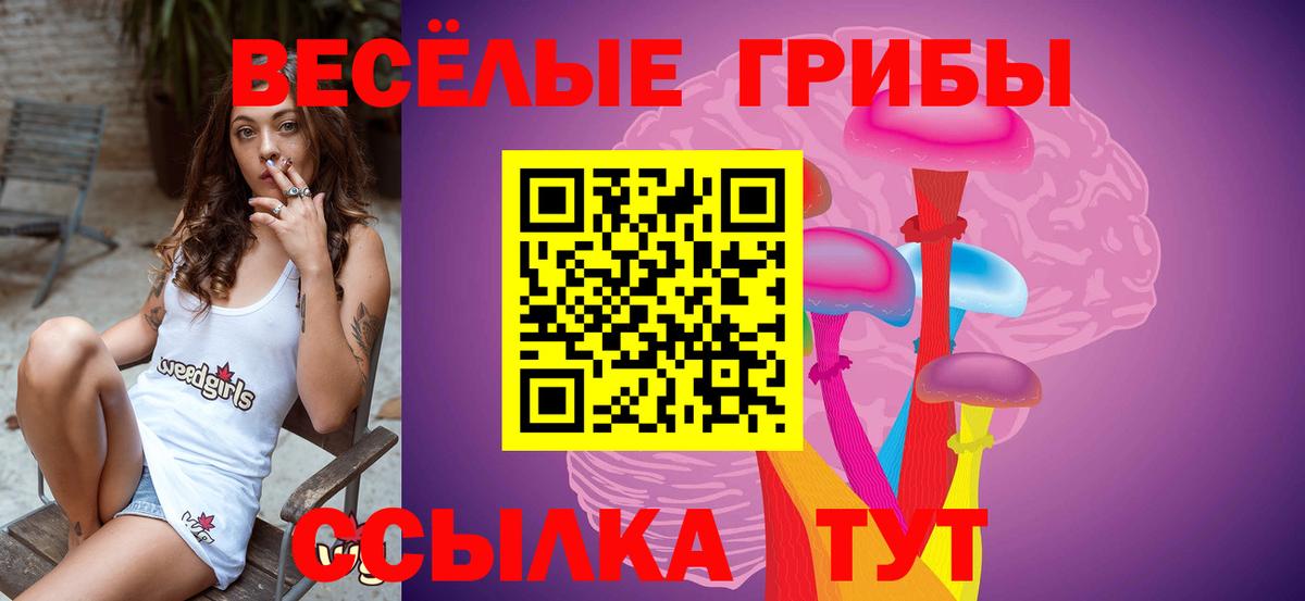 Псилоцибиновые грибы GOLDEN TEACHER  Вход с VPN  Псилоцибиновые грибы Psilocybine cubensis  Донской 